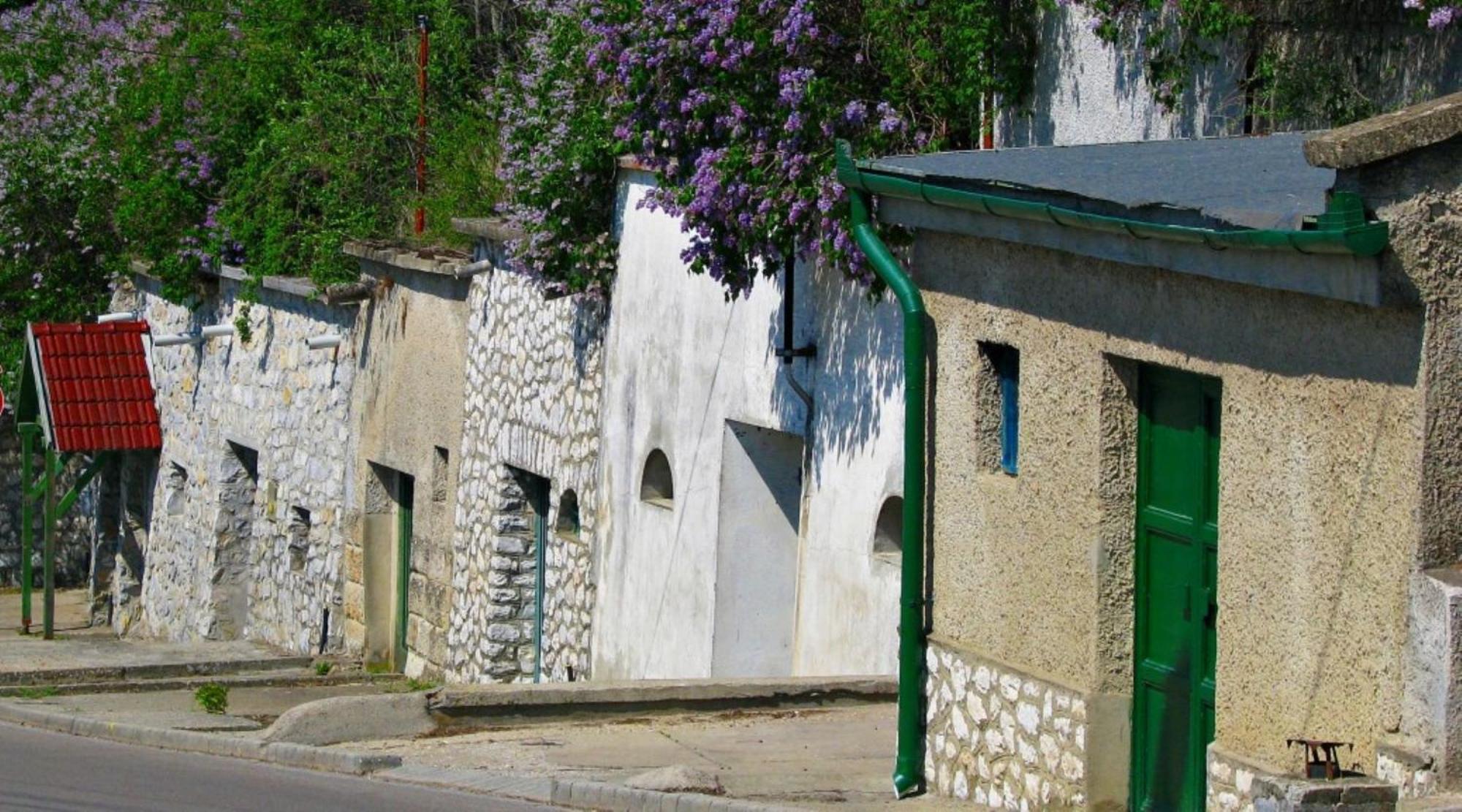 Fenyo Panzio Bed & Breakfast Mezokovesd Ngoại thất bức ảnh